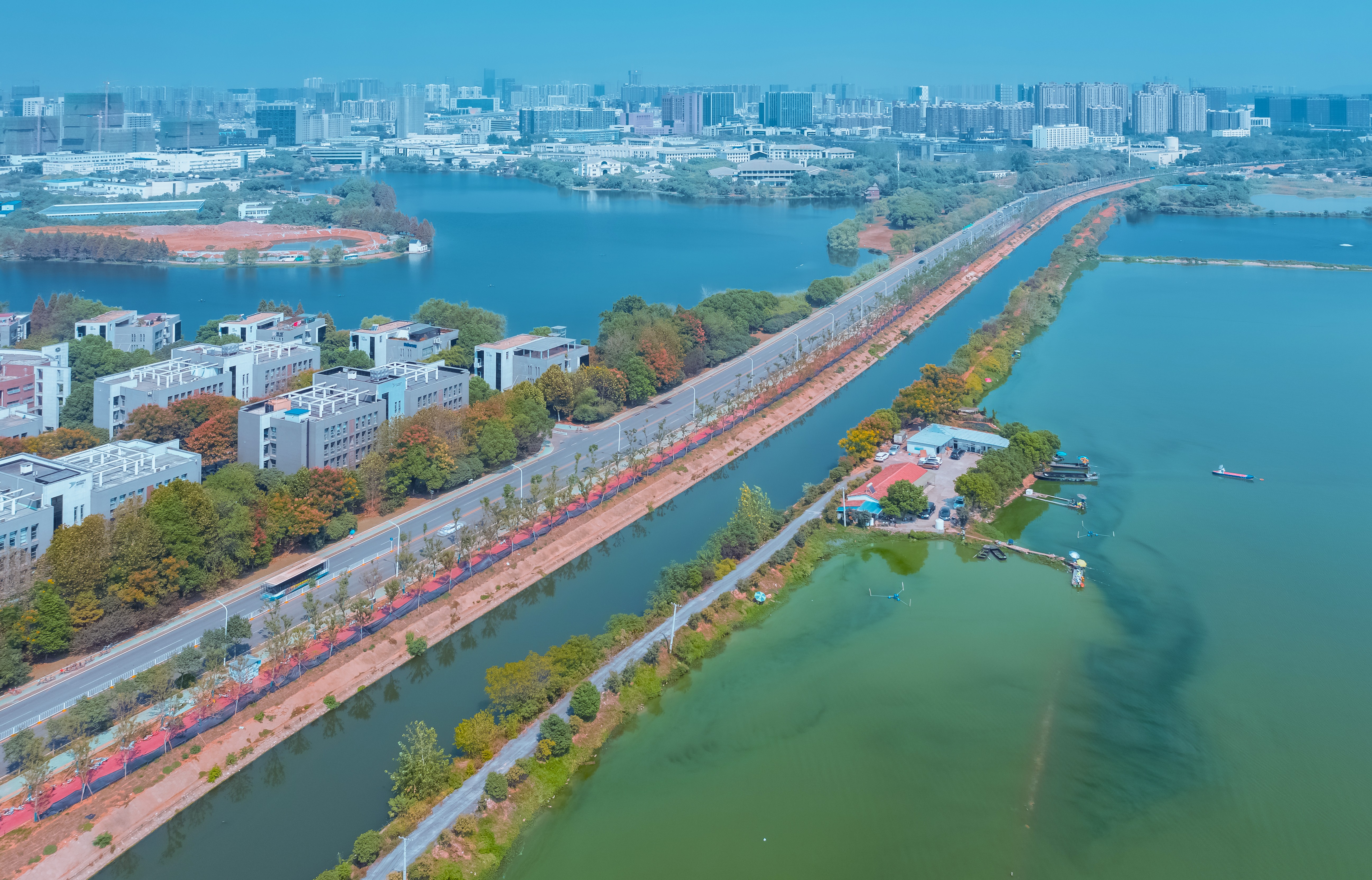 武漢濱湖大道（兩湖大道—湯遜湖北路）道路排水工程（中國市政金杯示范工程）.jpg